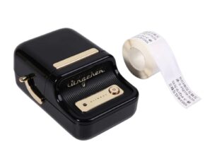 Niimbot B21 Portable Thermal Label Printer - Black
