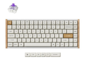Keychron K2 HE Wireless Special Edition Magnetic Custom Keyboard | NEBULA Switch – White